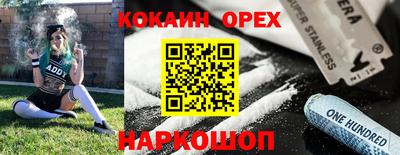 дурь Гусев