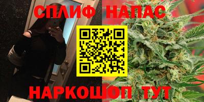дурь Гусев