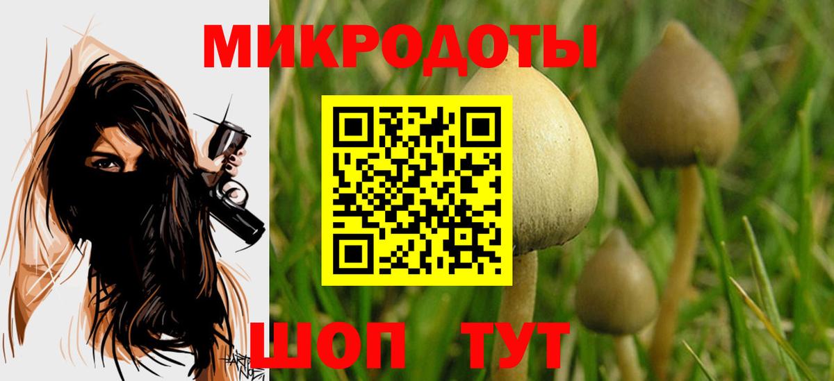 закладка  Галлюциногенные грибы Psilocybe  Вход с VPN  Можга 